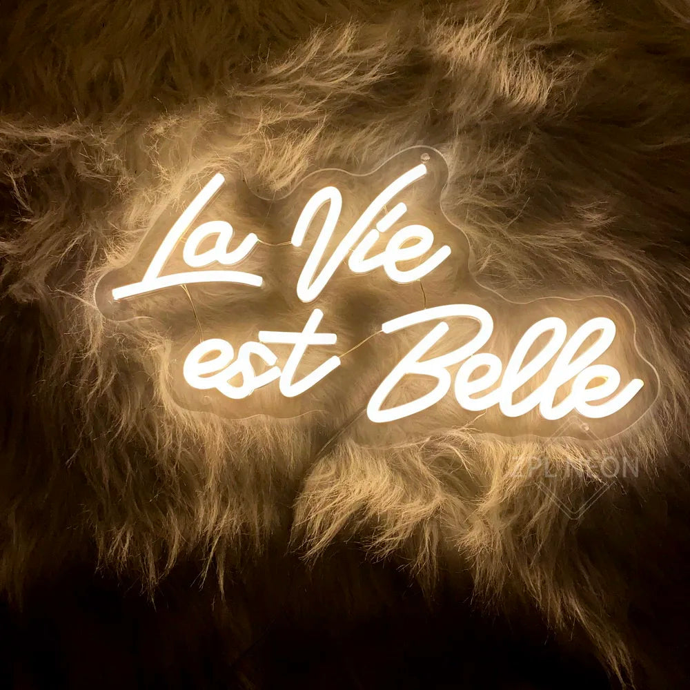 La vie est Belle